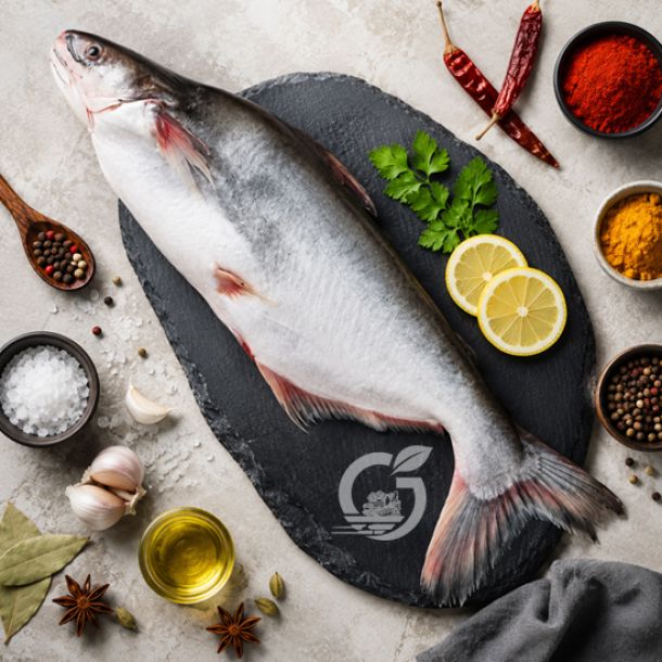 Basa fish