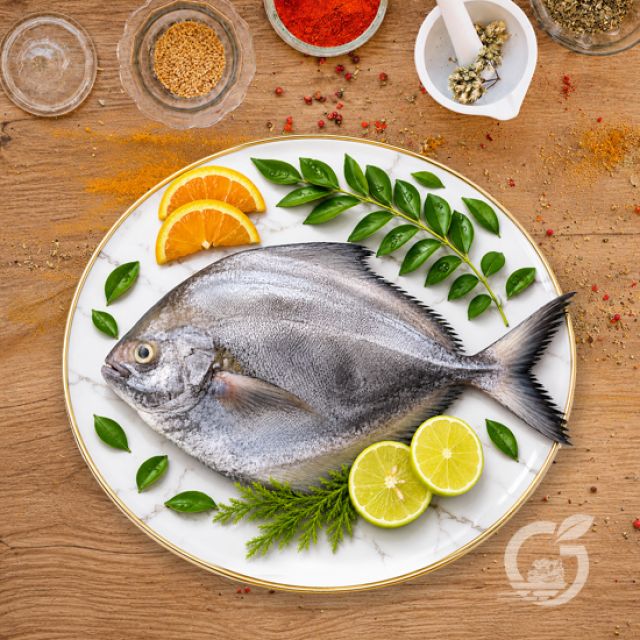 Black Pomfret 500gm