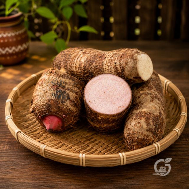 Colocasia / Taro Root / Chembu 1Kg