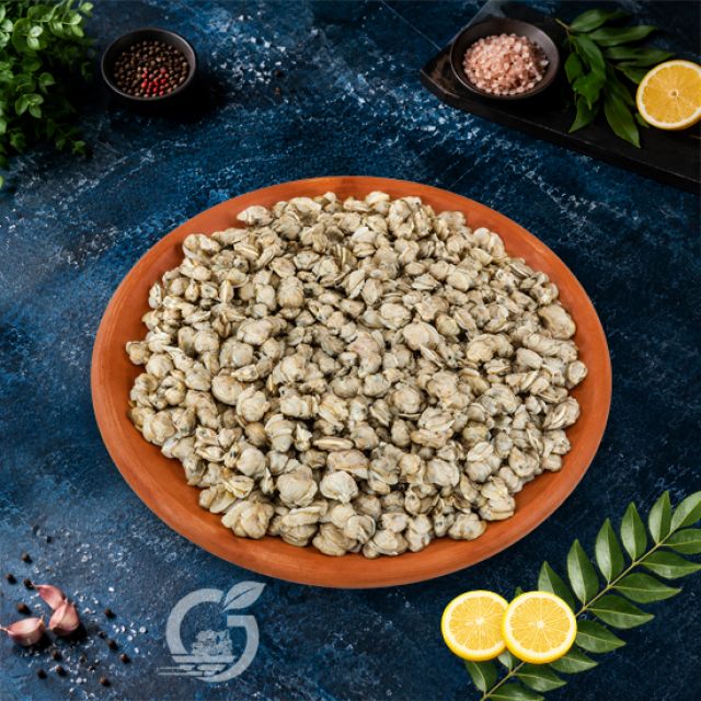 Clam Meat (Medium)