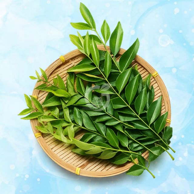 Curry Leaves