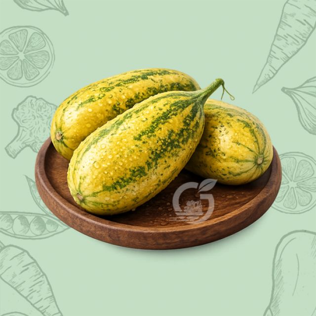 Mangalore Cucumber