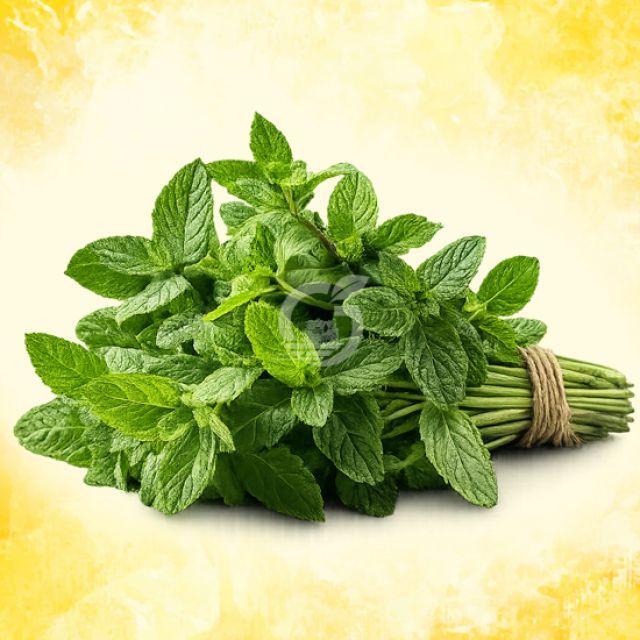 Mint Leaves
