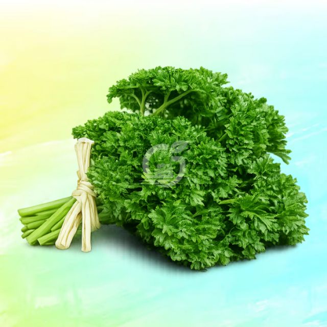 Parsley Leaves