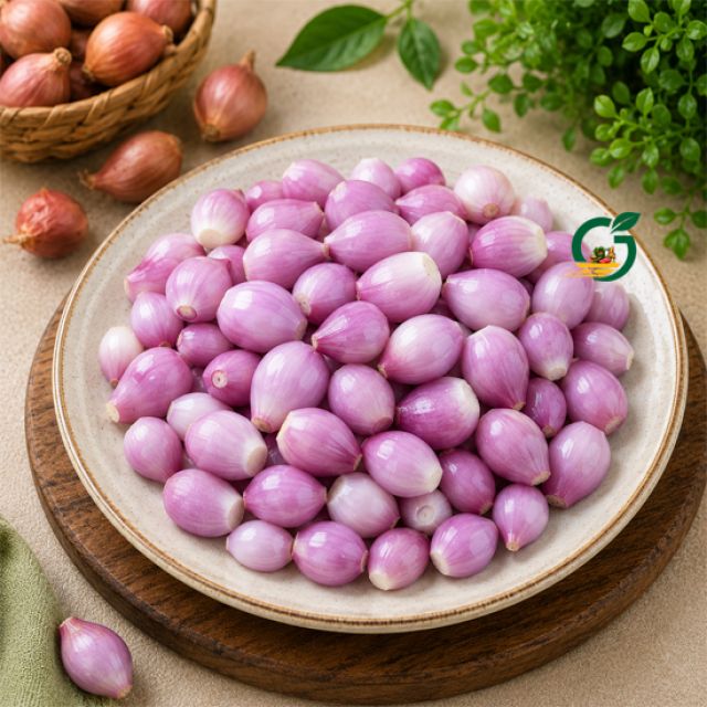 Peeled sambar Onion