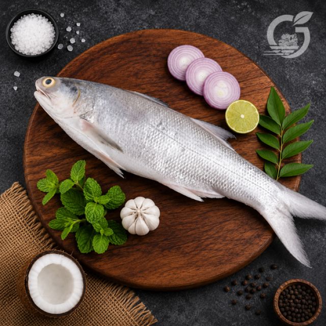 Salmon