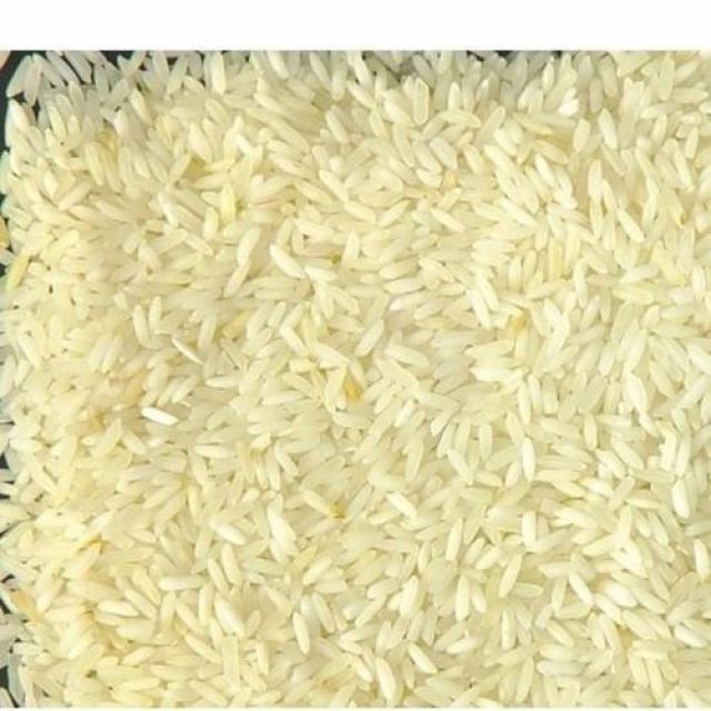 Rice Surti Kolam
